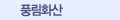 풍림화산